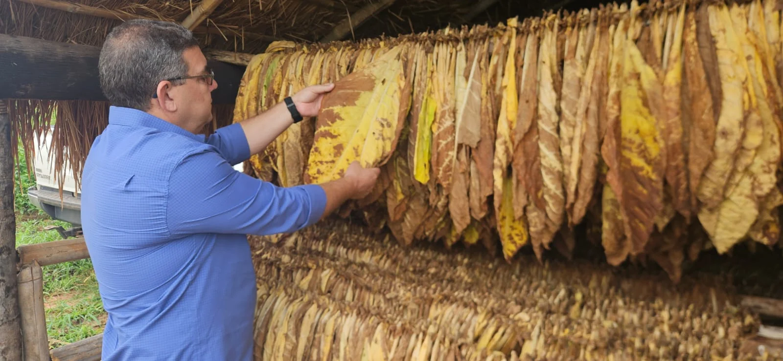 Technical leaf inspection