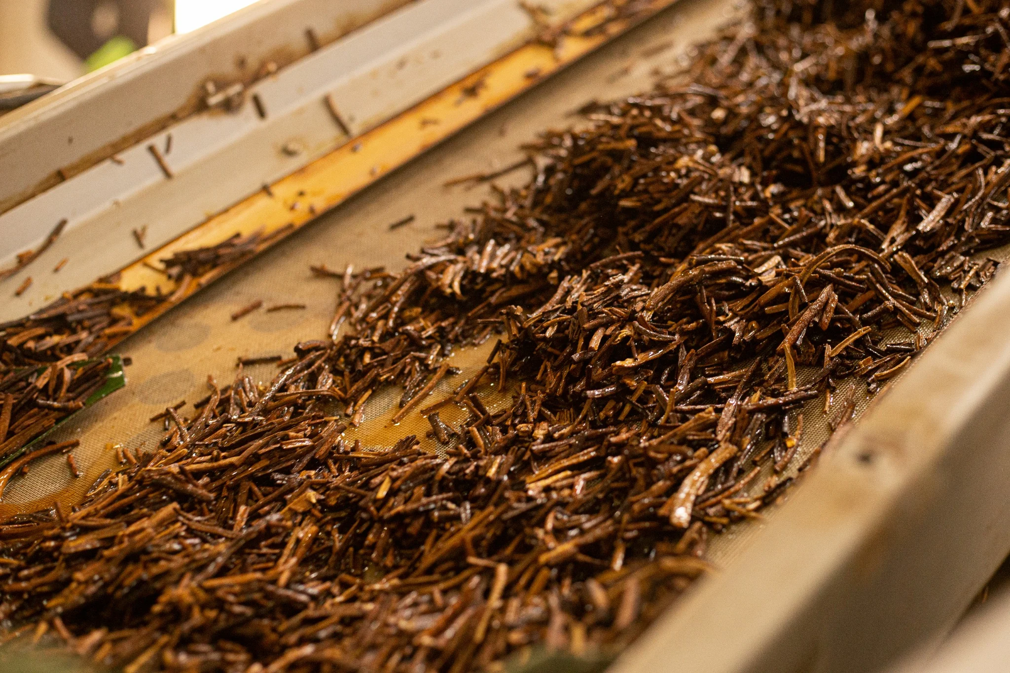 Primary processing and tobacco leaf threshing