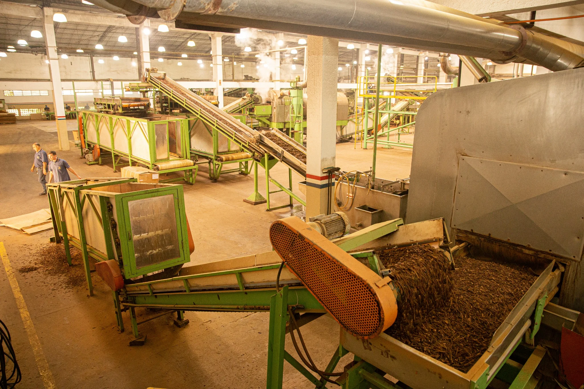 Tobacco processing equipment