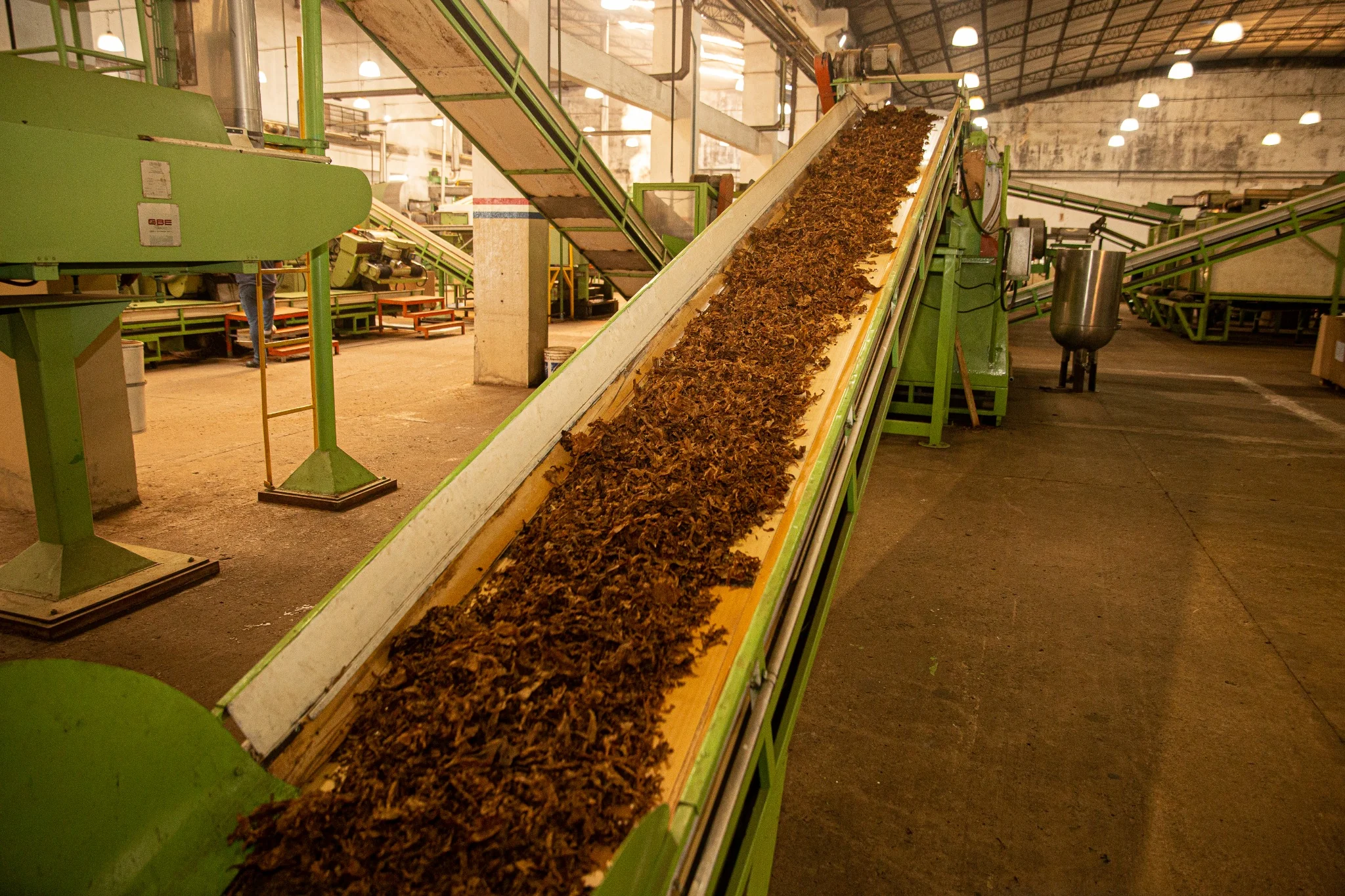 Tobacco conveyor in primary processing